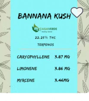 Bannana Kush
