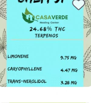 Bio: Chem 51