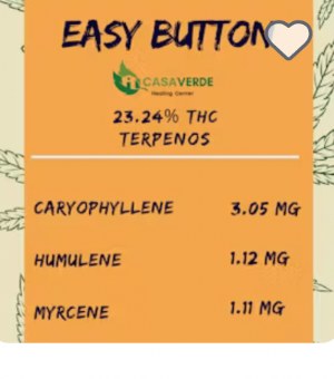 Taiana: Easy Button Flower