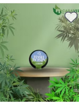 Elm Hash Rosin Platinum Gorilla 0.5g