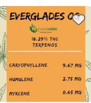 Taiana: Everglades OG Flower