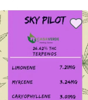 Prich: Sky Pilot