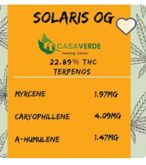 Taiana: Solaris OG
